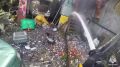 Сотрудники пожарно-спасательной службы в Твери спасли двух котят