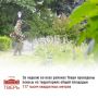 Сотрудники МБУ «Зеленстрой» продолжают работы по покосу травы, содержанию цветников и благоустройству зелёных зон
