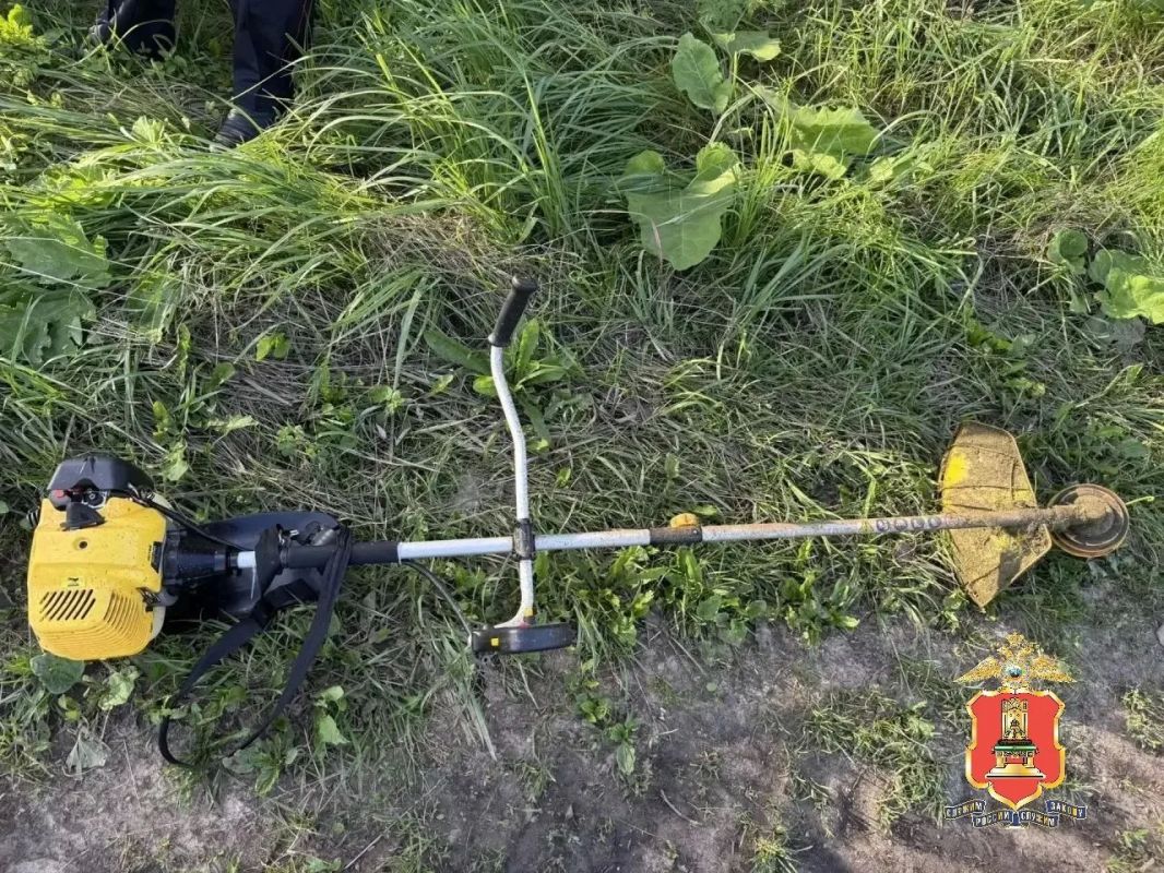 В ЛИХОСЛАВЛЬСКОМ РАЙОНЕ МУЖЧИНА ПОХИТИЛ У ОДНОСЕЛЬЧАНИНА ЧУЖОЙ БЕНЗОТРИММЕР В ЛИХОСЛАВЛЬСКОМ РАЙОНЕ МУЖЧИНА ПОХИТИЛ У ОДНОСЕЛЬЧАНИНА ЧУЖОЙ БЕНЗОТРИММЕР
