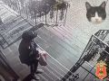 � ����� �� ����� ���������� �������� �������� ���