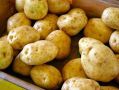 Тверские агрономы объяснили, какой картофель категорически нельзя есть