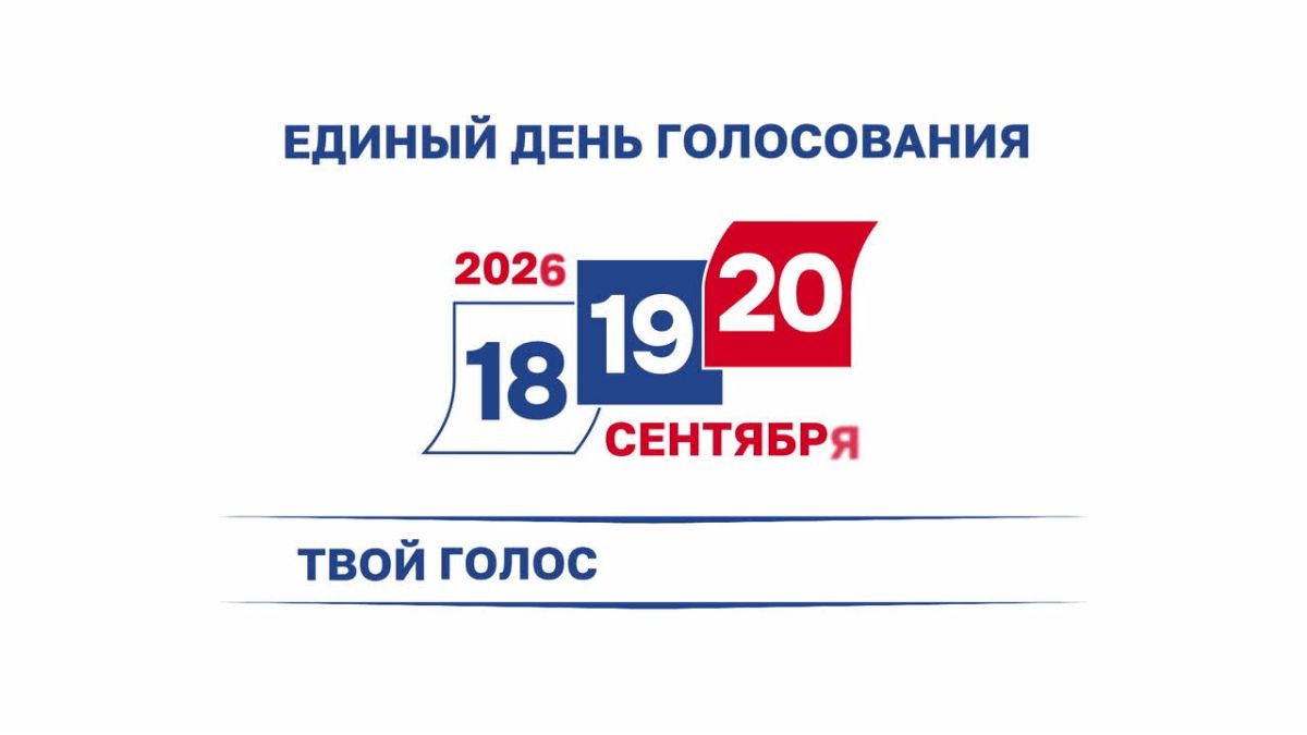 Узнать всё о выборах помогут цифровые сервисы на сайте ЦИК России