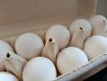В Тверской области изымают из продажи опасные яйца и сосиски: назван бренд