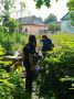 В Тверской области экстрасенс чуть не помещал найти пропавшую бабушку живой