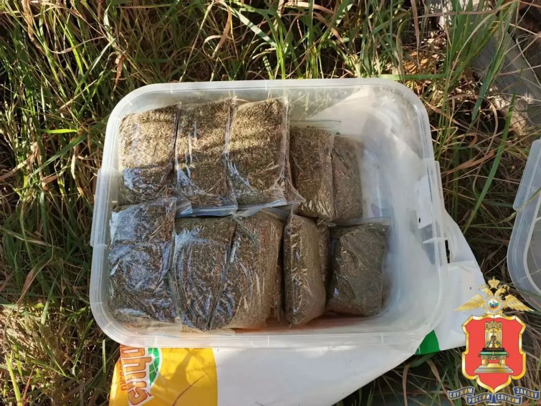 ЖИТЕЛЬ КАЛИНИНСКОГО РАЙОНА ПЛАНИРОВАЛ ПРОДАТЬ ПОЧТИ КИЛОГРАММ МАРИХУАНЫ ЖИТЕЛЬ КАЛИНИНСКОГО РАЙОНА ПЛАНИРОВАЛ ПРОДАТЬ ПОЧТИ КИЛОГРАММ МАРИХУАНЫ