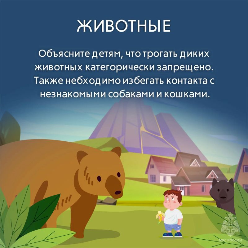 Главное управление МЧС России по Тверской области напоминает родителям: отдых за городом должен быть не только полезным, но и безопасным Главное управление МЧС России по Тверской области напоминает родителям: отдых за городом должен быть не только полезным, но и безопасным