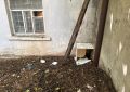 Тверские волонтеры спасают Тамарку и ее шестерых детей, найденных под полкой