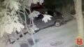 � ����� ���-��������� ����� ����������� �� �������� ������Ȼ � ������� ������