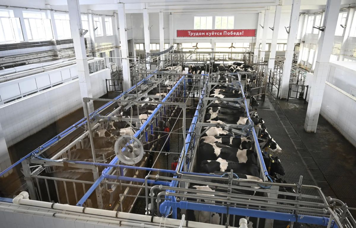 Виталий Королев: Сегодня в Твери работаем вместе с Заместителем Председателя Правительства РФ Дмитрием Николаевичем Патрушевым Виталий Королев: Сегодня в Твери работаем вместе с Заместителем Председателя Правительства РФ Дмитрием Николаевичем Патрушевым