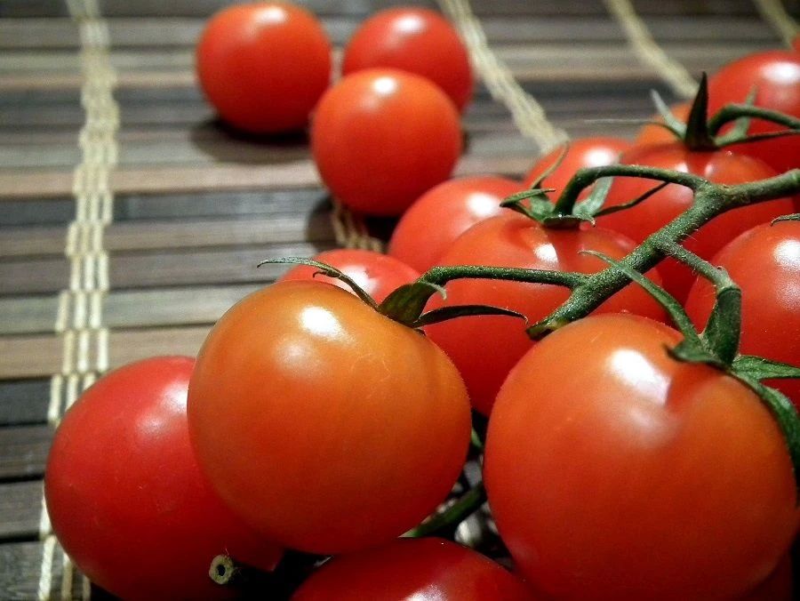 «Дон Педро» вне закона: тверские эксперты убрали опасные семена из продажи