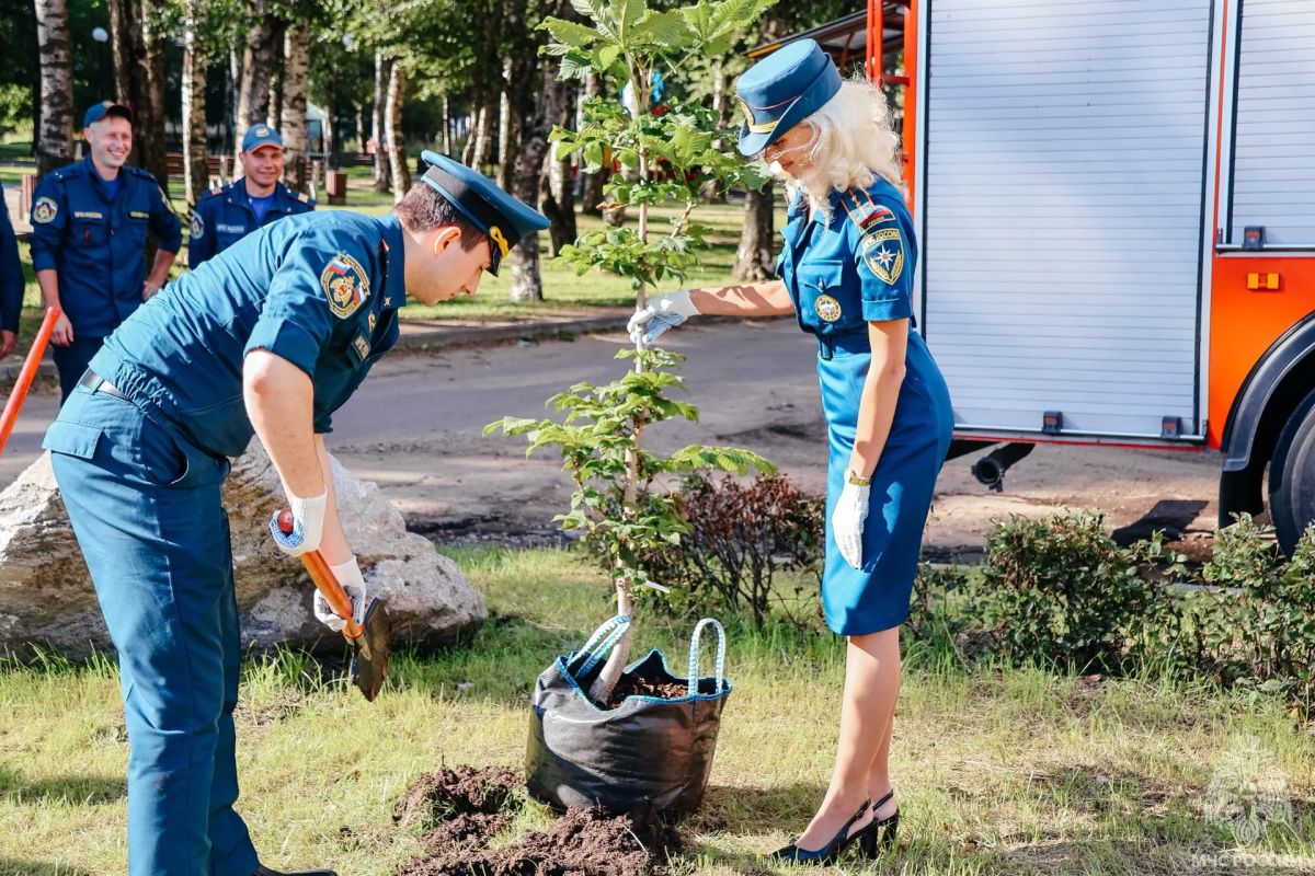 Аллея выпускников ВУЗов МЧС России Аллея выпускников ВУЗов МЧС России