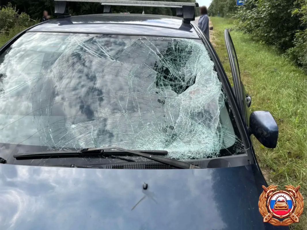 В Селижаровском муниципальном округе в результате ДТП погиб водитель мопеда В Селижаровском муниципальном округе в результате ДТП погиб водитель мопеда