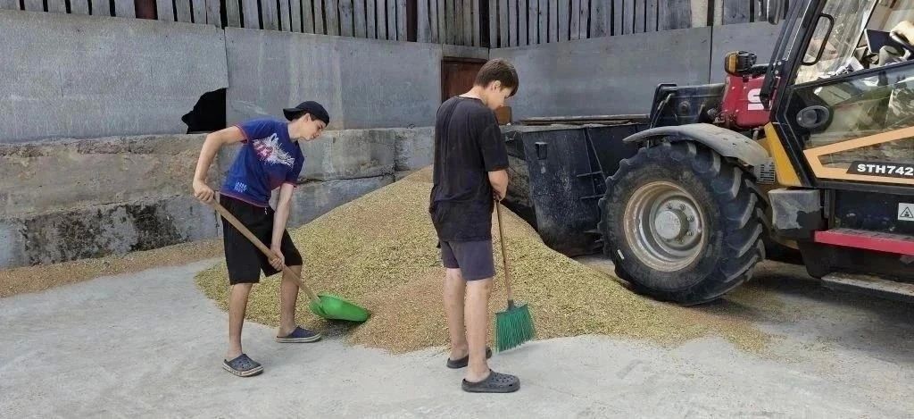 С начала года в Тверской области трудовой опыт более чем в 1100 организациях внебюджетной и бюджетной сферы получили более 19 300 подростков С начала года в Тверской области трудовой опыт более чем в 1100 организациях внебюджетной и бюджетной сферы получили более 19 300 подростков
