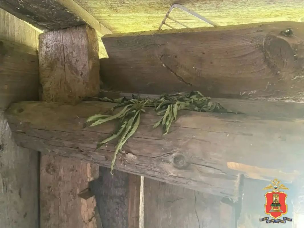 Полицейские обнаружили у жителя Лихославльского района наркотики, оружие и боеприпасы Полицейские обнаружили у жителя Лихославльского района наркотики, оружие и боеприпасы
