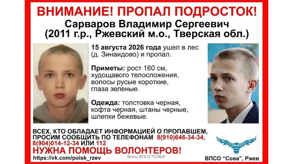 В лесу подо Ржевом (Тверская область) ведутся поиски 15-летнего подростка, который ушел из деревни Зинаидово 9 дней назад