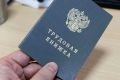 Названы самые востребованные профессии уходящего лета в России