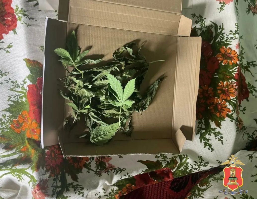 Патроны, порох и марихуану нашли полицейские у охранника из Белого Городка Патроны, порох и марихуану нашли полицейские у охранника из Белого Городка
