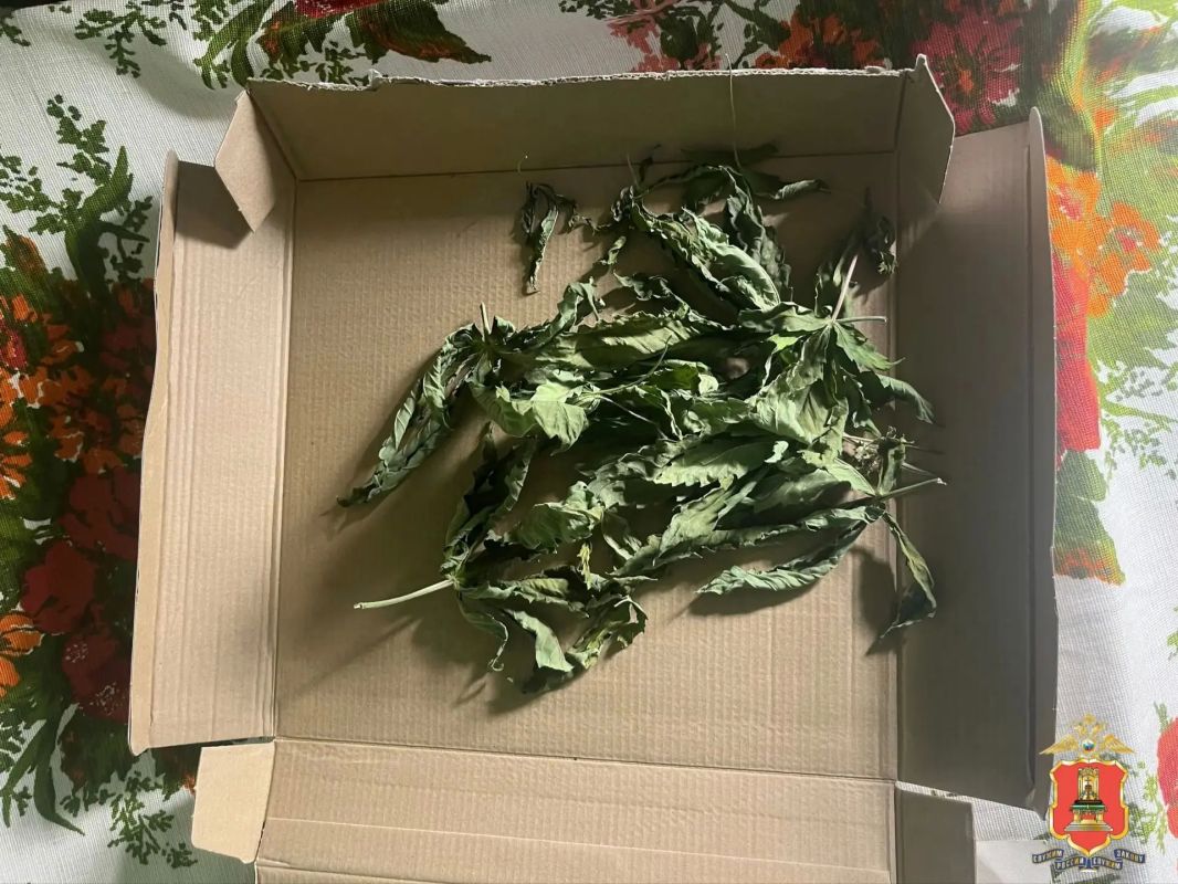 Патроны, порох и марихуану нашли полицейские у охранника из Белого Городка Патроны, порох и марихуану нашли полицейские у охранника из Белого Городка