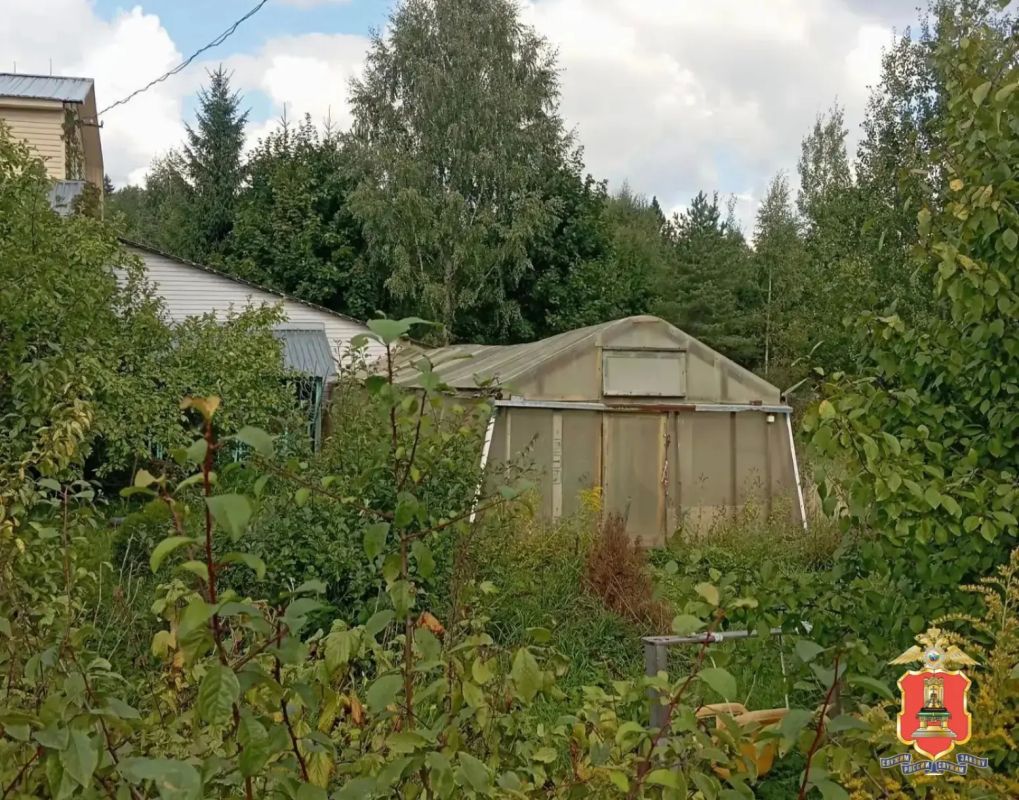 У жительницы Удомли полицейские обнаружили на даче теплицу с коноплёй У жительницы Удомли полицейские обнаружили на даче теплицу с коноплёй