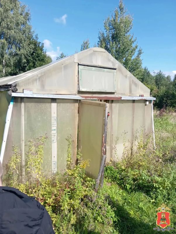У жительницы Удомли полицейские обнаружили на даче теплицу с коноплёй У жительницы Удомли полицейские обнаружили на даче теплицу с коноплёй