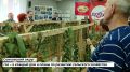 Глава Верхневолжья Виталий Королев подвел итоги рабочей недели