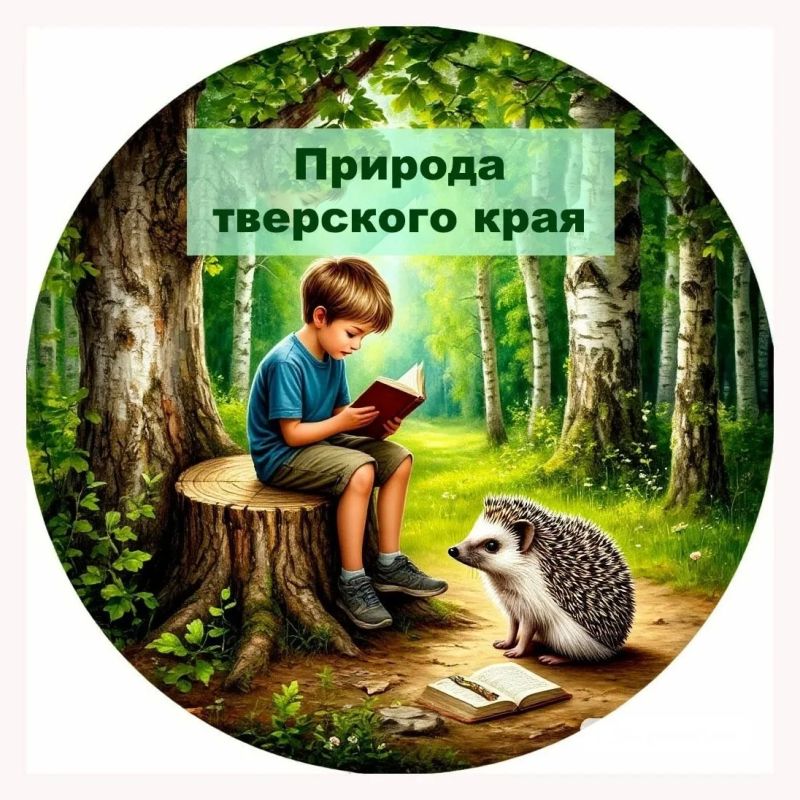 На Станции юннатов подвели итоги Областной летней экологической викторины «Природа тверского края – 2026», которая прошла во время каникул
