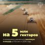 К 2030 году в России планируется увеличить посевную площадь не менее чем на 5 млн га