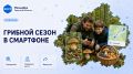 Цифровые помощники для тихой охоты и сбора ягод