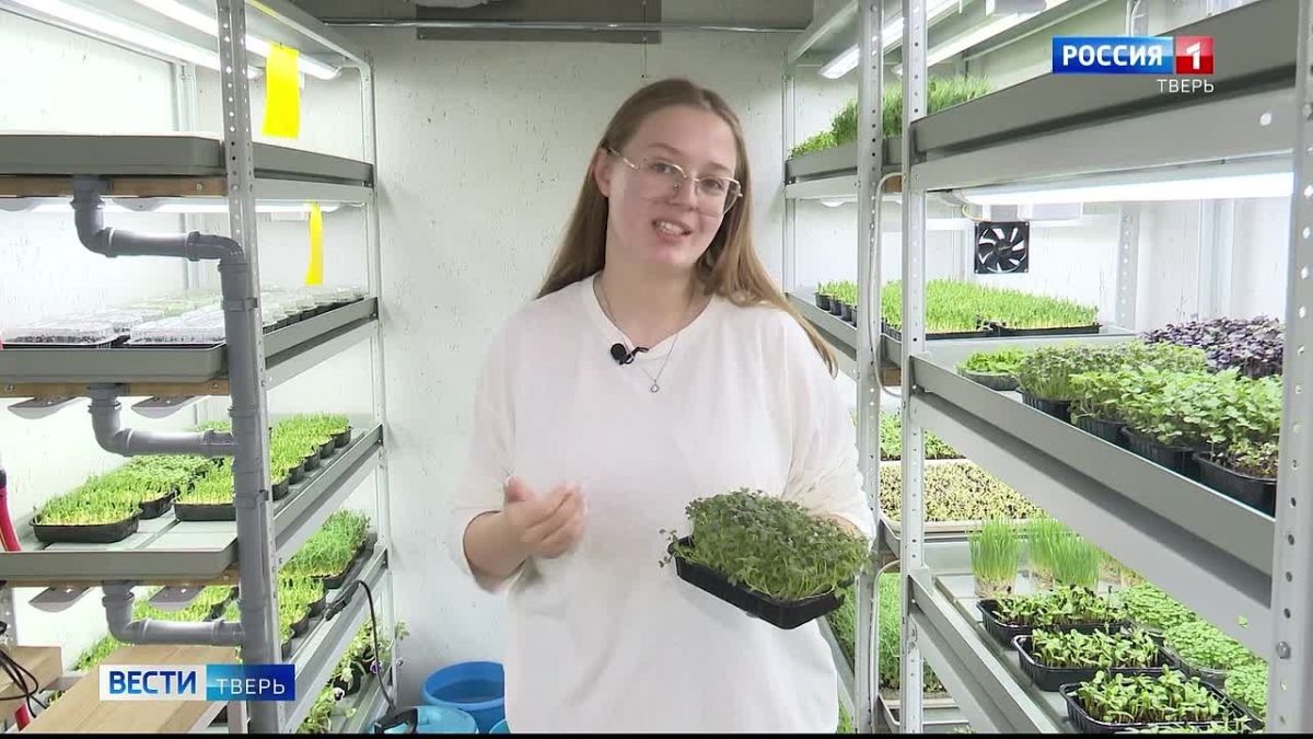 От микрозелени на полке до собственного бизнеса: как программа «Мама-предприниматель» помогает женщинам в Верхневолжье