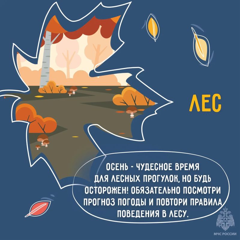 Осенние сезонные риски. С наступлением холодов увеличивается нагрузка на электросети Осенние сезонные риски. С наступлением холодов увеличивается нагрузка на электросети