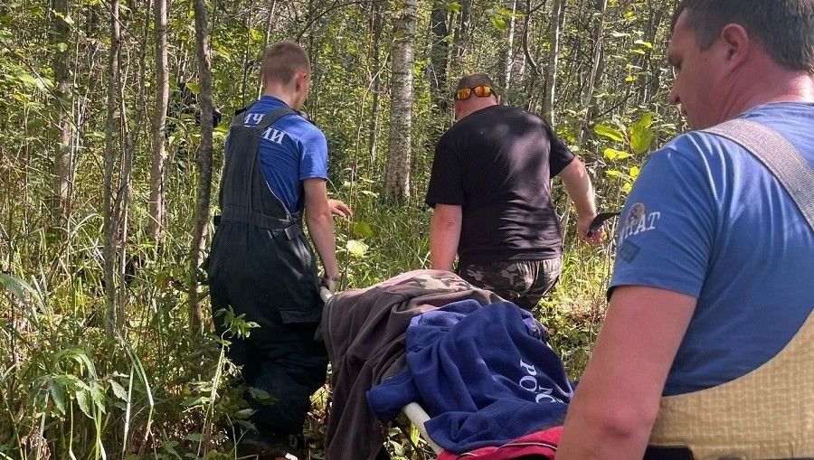 В Лихославльском районе завершили поиски пропавшей в лесу женщины