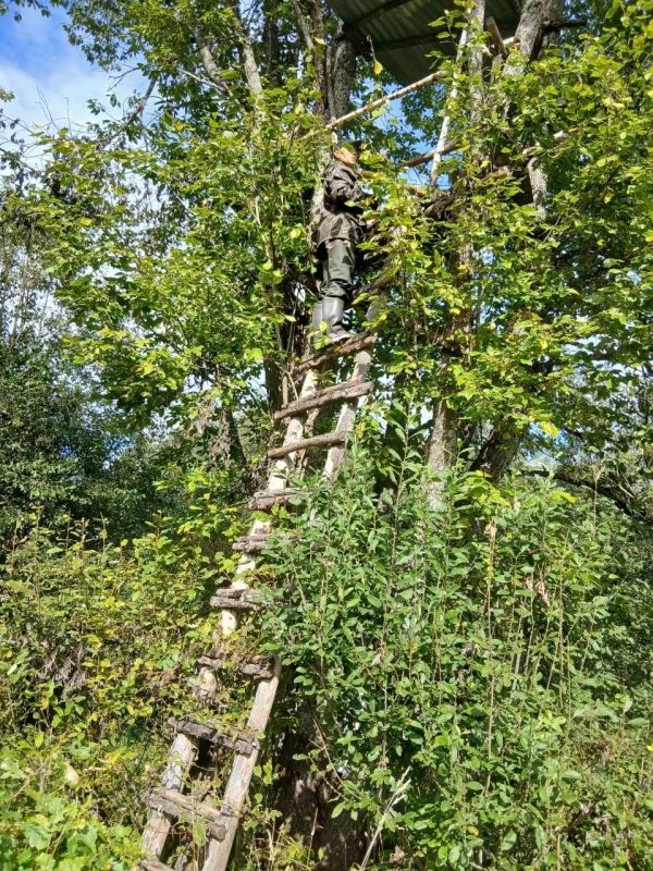 Ищут уже месяц: появились свежие фото с поиска пропавшего во Ржеве подростка Ищут уже месяц: появились свежие фото с поиска пропавшего во Ржеве подростка