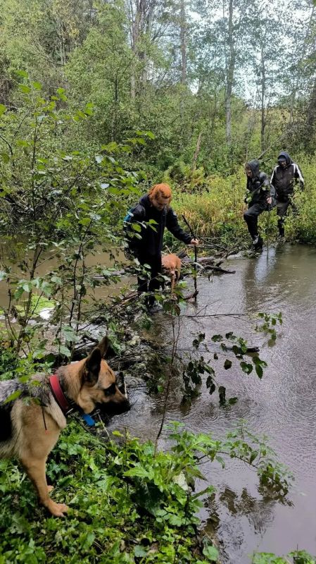 Ищут уже месяц: появились свежие фото с поиска пропавшего во Ржеве подростка Ищут уже месяц: появились свежие фото с поиска пропавшего во Ржеве подростка