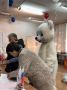 На избирательный участок в Нелидовском муниципальном округе Тверской области пришел проголосовать Белый Мишка