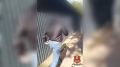 � ����� �������� ������������� � �������� ���������� �� �����