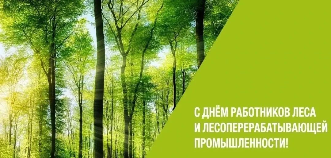 20 сентября отмечается День работников леса и лесоперерабатывающей промышленности