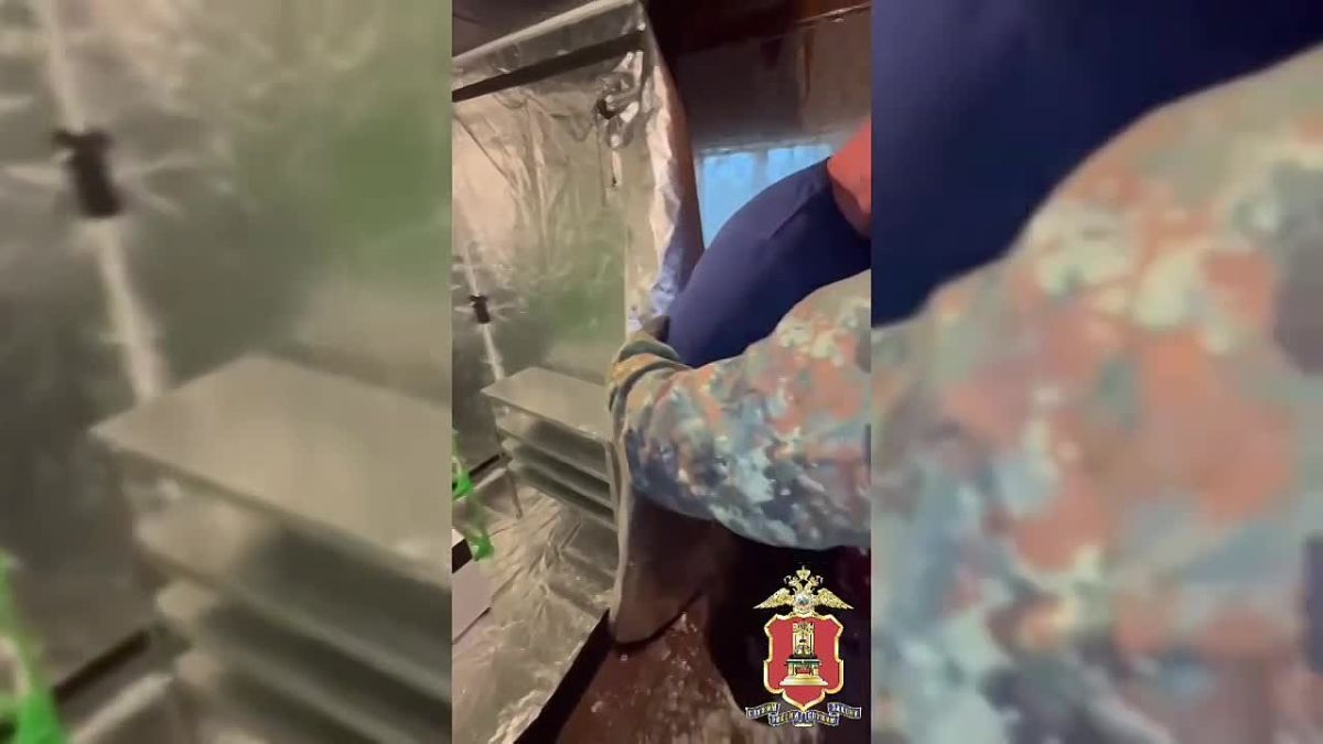 На даче под Тверью сотрудники полиции ликвидировали нарколабораторию и задержали её организатора