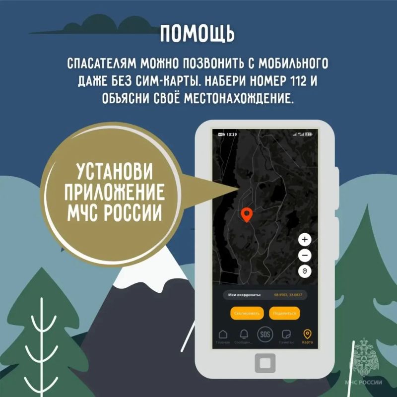 Лес — это отдых, но не место для беспечности! Лес — это отдых, но не место для беспечности!