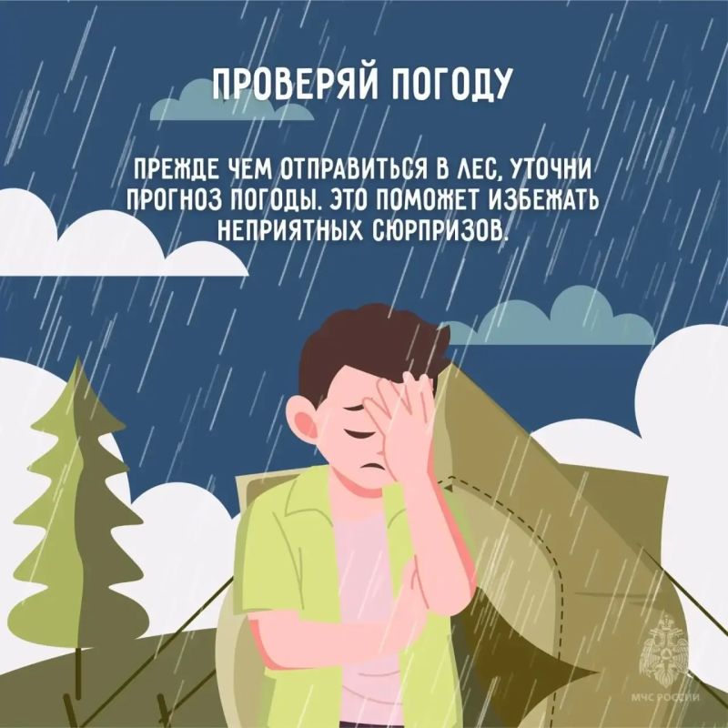 Лес — это отдых, но не место для беспечности! Лес — это отдых, но не место для беспечности!