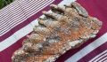 В Тверской области нашли зуб мамонтенка
