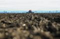 В Крыму приступили к севу озимых культур