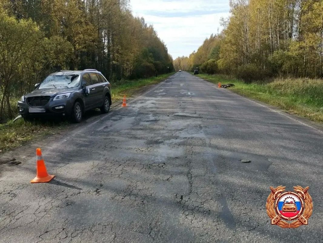 В Тверской области водитель автомобиля пострадала из-за лося