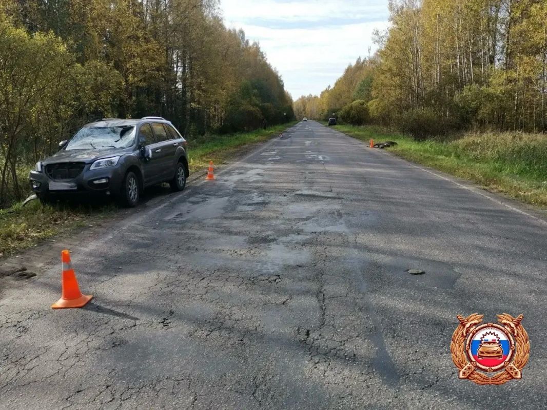 В Тверской области водитель автомобиля пострадала из-за лося