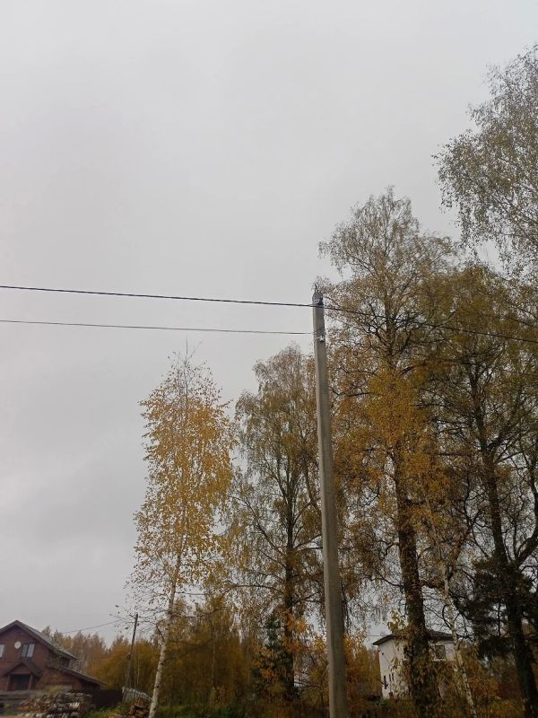 Нет света и вода под угрозой: жительница города Бологое рассказала о коммунальной проблеме Нет света и вода под угрозой: жительница города Бологое рассказала о коммунальной проблеме