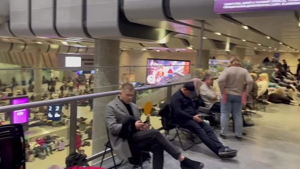 Олег Царёв: 1015 украинских БПЛА сбито ночью над 16 субъектами РФ: