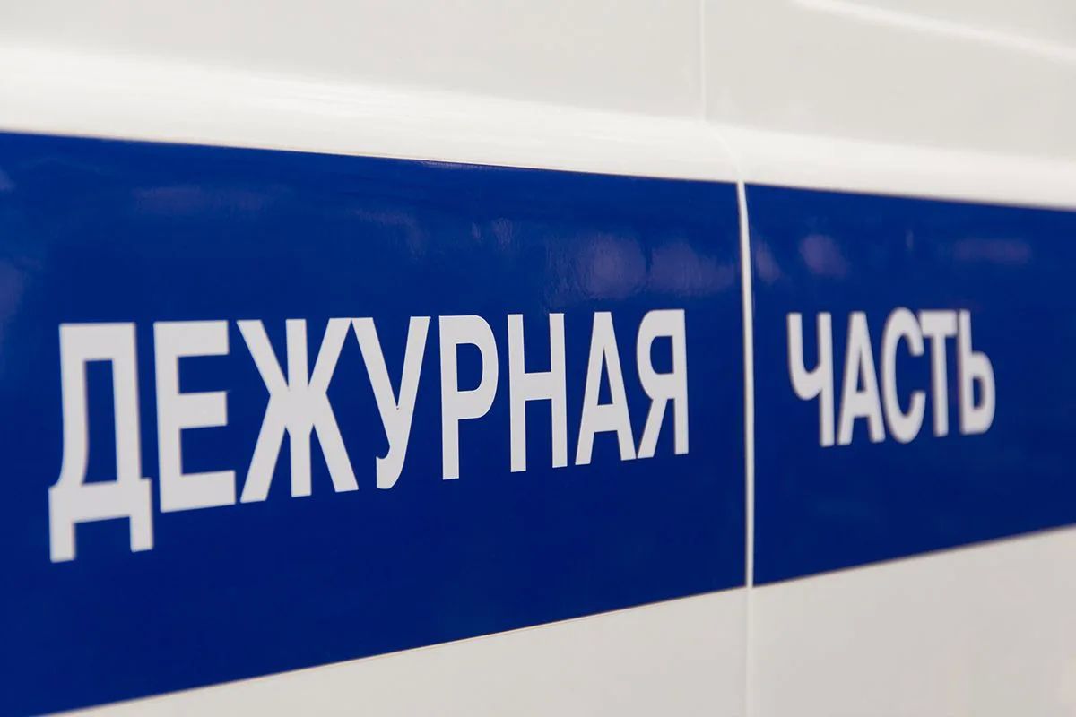 Мошенники обогатились, сыграв на любви жительницы Тверской области к кошке