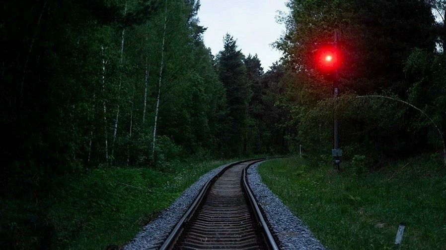 В Тверской области под колесами скоростного электропоезда погиб лось