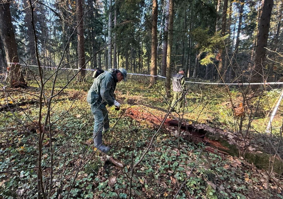 В Тверской области сотрудники Следственного комитета работают на месте обнаружения останков жертв времен Великой Отечественной войны В Тверской области сотрудники Следственного комитета работают на месте обнаружения останков жертв времен Великой Отечественной войны