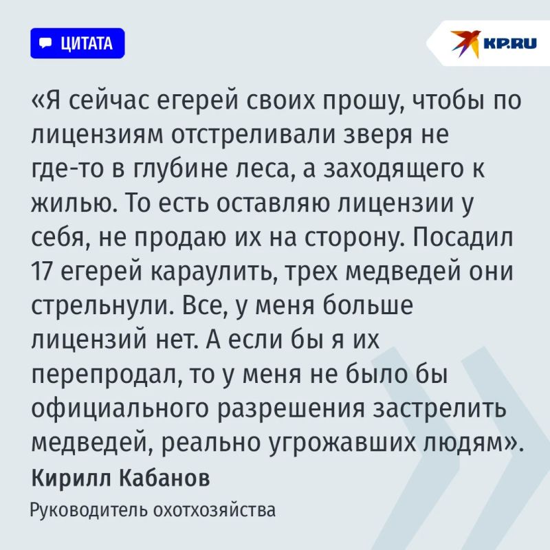Медведь идет к людям за легкой добычей: Какие меры спасут россиян от агрессивного зверя Медведь идет к людям за легкой добычей: Какие меры спасут россиян от агрессивного зверя