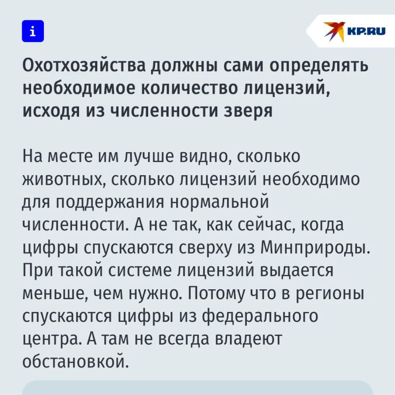 Медведь идет к людям за легкой добычей: Какие меры спасут россиян от агрессивного зверя Медведь идет к людям за легкой добычей: Какие меры спасут россиян от агрессивного зверя